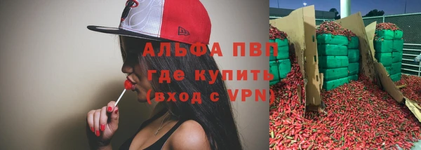 ECSTASY Зеленокумск