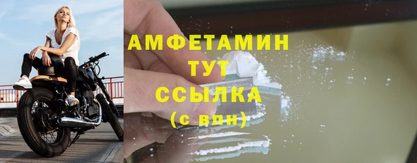 сатива Зерноград