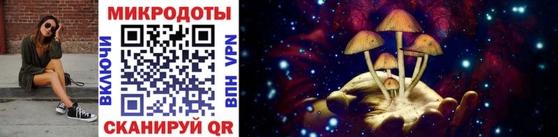 Псилоцибиновые грибы мицелий  Новый Уренгой 